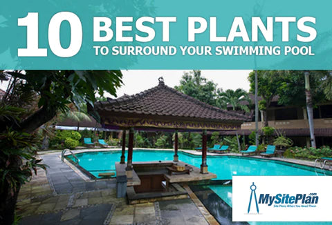 Plants to Surround Swimming Pool