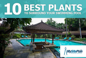 10 Best Plants to Surround Your Swimming Pool